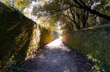 Fiesole Hike & Italian Aperitivo