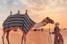 Dubai Desert Safari 