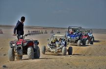  Bedouin Village & Buggy Car Safari Desert Tour in Sharm ElSheikh