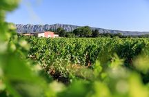 Half day Wine Tour in Côtes de Provence Sainte-Victoire from Aix en Provence