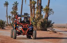 Experience exciting adventures with our Quad tours