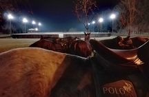 Polo Under the Stars and Argentine BBQ Evening Venue from Buenos Aires