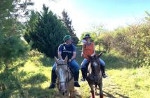 Horseback Riding and Polo in Buenos Aires 