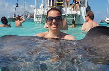 Stingray City, Coral Gardens & Frankie's Local Lunch & Juice