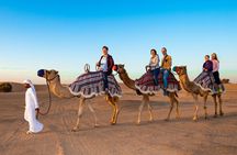 Dubai Desert 4x4 with BBQ, Dune Bashing, Camel Ride, Show