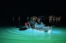 Sarasota - Clear Kayak LED Night Glass Bottom Tour