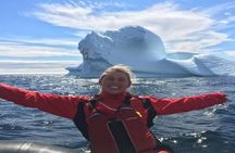 St. John’s Small Group Tour with Iceberg Quest Boat Cruise