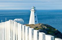 St. John’s Small Group Tour with Iceberg Quest Boat Cruise