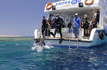 Snorkeling Day White Island & Ras Mohamed With Top VIP yacht