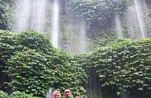 Lombok Guided Tour in Benang Stokel and Kelambu Waterfall Tour 
