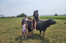 Hoi An Village Experience & Hoi An City Tour with Night Market