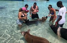 Swimming Pigs Half Day Charter on Cruisin Tiki Bar Boat 8 persons
