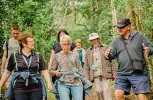 Breakfast Bushwalk & Clifftop BBQ Tour 