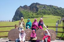 Small group Private Taxi Tour DAY experience in Jeju island