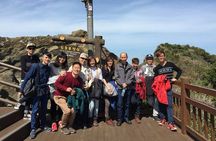 Small group Private Taxi Tour DAY experience in Jeju island