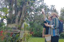 Private Experience in Coffee Hacienda: From Plant to Cup