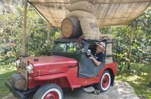 Private Experience in Coffee Hacienda: From Plant to Cup