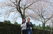 Beautiful Jeju Island Private UNESCO day Tour 