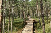 2.5 Hours Hike in Vaattunkikongas Forest Trail