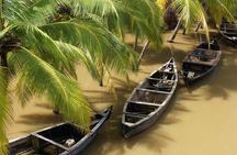 Private Full Day Tour: Authentic Mekong Delta Life in Ben Tre 