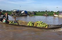 Private Full Day Tour: Authentic Mekong Delta Life in Ben Tre 