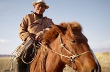 Kharkhorum, Khustai, Mini Gobi & Ger Under the Stars: 3-Day Tour