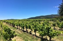 Full-Day Wine Tour around Luberon from Marseille