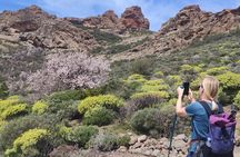 Hiking in the Sacred Mountains of Gran Canaria: UNESCO