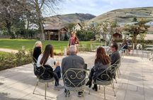 Guided tour and wine tasting Northern Rhône Valley