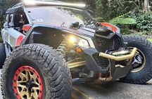 3-Hour Private UTV Tour in San Juan