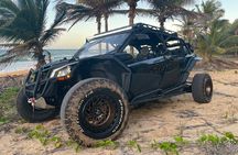 3-Hour Private UTV Tour in San Juan