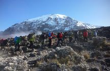 7 Day Kilimanjaro Climbing Via Lemosho Route