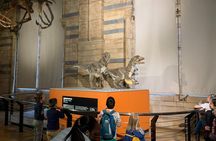 Private Guided Tour of Natural History Museum - Skip the Line