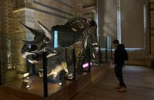 Private Guided Tour of Natural History Museum - Skip the Line