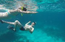 Private Speedboat Swim with Dolphins, Water Sports - Hurghada