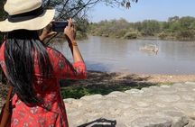 The Hipster Chandigarh Architecture History Tour
