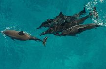 Half-Day Raft and Snorkel Adventure to Na Pali