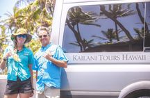 Volcano Explorer Tour