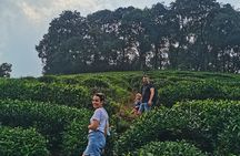 Best of Hangzhou: A Comprehensive Tour of the City's Top Sights