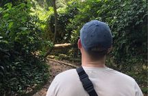 Entebbe Walking Tour (3 Hours) with Zoo and Botanical Gardens Options