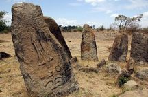 Day Tours around Addis Abeba, Melka Kunture and Adadi Mariam 