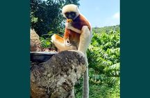 Full-day Natural Style Private Tour of Nosy Be Island with Lunch