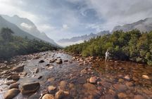 Fly Fishing in Cape Town for Five Hours