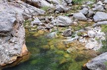 Fly Fishing in Cape Town for Five Hours