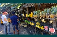 Full-day Natural Style Private Tour of Nosy Be Island with Lunch