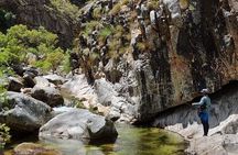 Fly Fishing in Cape Town for Five Hours