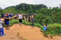 Best of Ella - Full Day, Private & Customize Tour