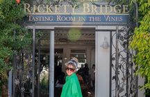 Full Day Cape Winelands Private Tour