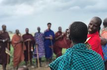 Private Day Tour to Masai Village in Tanzania