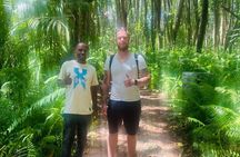 Jozani Forest Tour